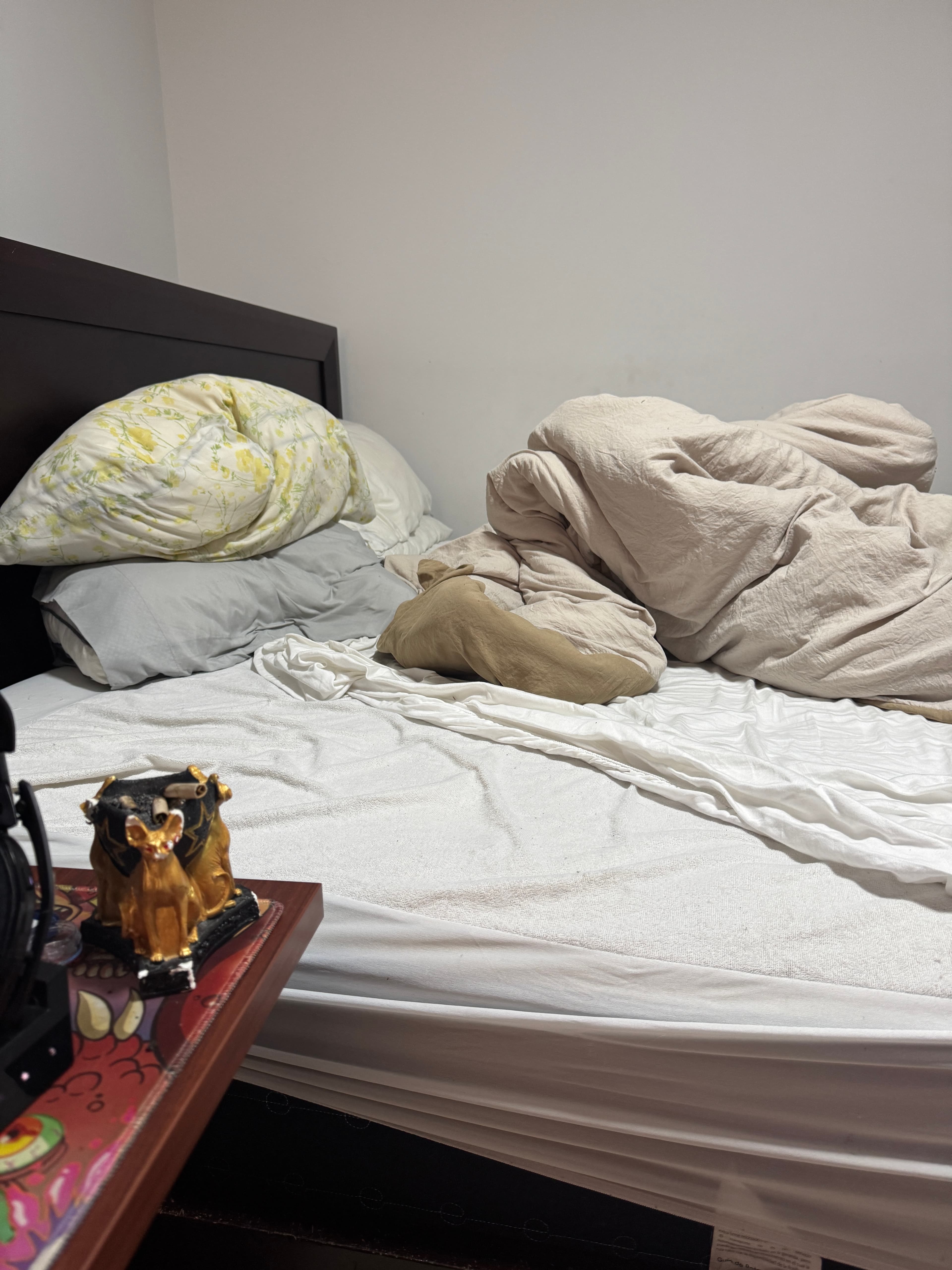 costarican breakfast